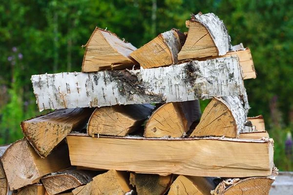 Italy's Import of Timber Fuel Drops to $60 Million in 2023